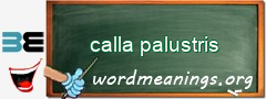 WordMeaning blackboard for calla palustris